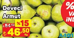 DEVECİ ARMUT KG DEVECİ ARMUT KG